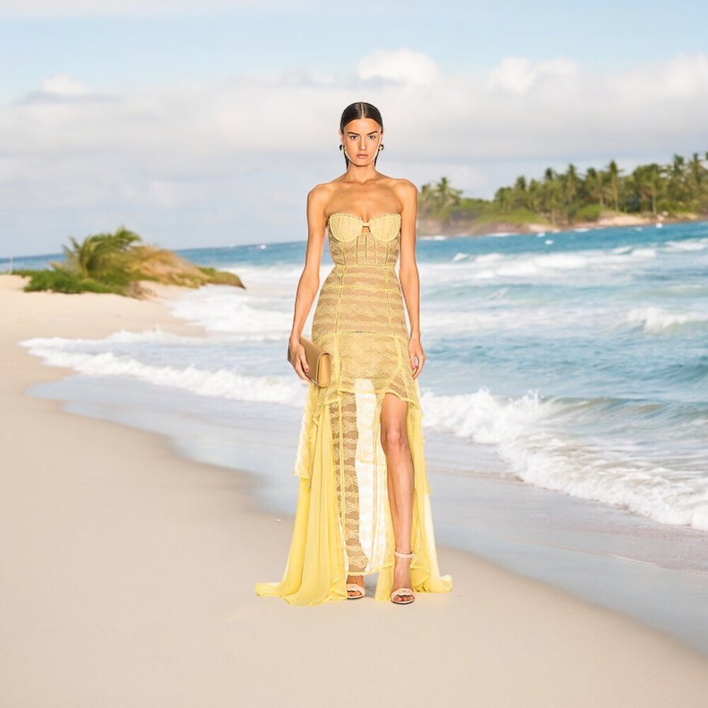 JONATHAN SIMKHAI EMBROIDERED BUSTIER CHIFFON DRESS